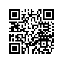 25Y-11311-00-00 