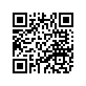 25Y-17211-00-00 