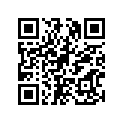 25Y-17411-00-00 