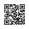 260041018 