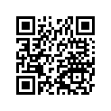 260041019 
