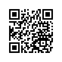 260041062 