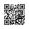 26011-2333 WIRE-LEAD,L=300