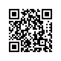 260110758 Wire-lead, Battery(+)