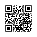 260111828 Wire-lead, Battery(-)