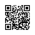 260113825 Wire-lead, Battery(+)