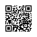 260117517 Wire-lead, Battery(+)