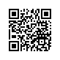 261-81940-11-00 