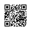 2611-429 DECAL,ADJ.SHOCK ABSORBER-PAT. PENDING