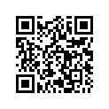262000041 Support        *bracket
