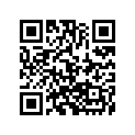 2621-622 DECAL,TUNNEL-RH 1