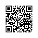 2621-897 DECAL,TUNNEL 1-LH 137