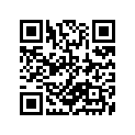 26211-16504 