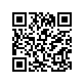 26211-40900 