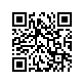 26211-41300 