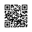 26300-29A00-000 Levier complet