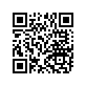 2635336 MIRROR-INDIAN,INTL,RH