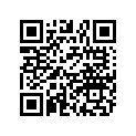 2635493-493 ASM-FNDR,PNT,RR,CLIP,LH,N.S.O.