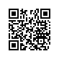 265000041 LEVER