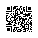 26605182000 Silencer