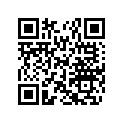 269001150 PINE SUPPORT