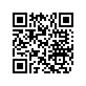269500379 269port Mir. Ga*support-mir.lh