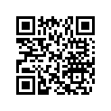 269500600 Support D.peint*support Rh