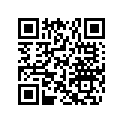 269500843 Amortisseur    *shock