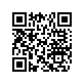 269501018 Support Mir. Ga*support-mir.lh
