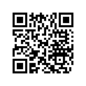 269501578 MIRROR SHEEL