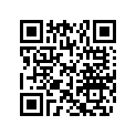 269501688 MIRROR SHEEL