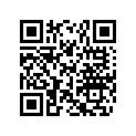 269800110 Tapis          *carpet