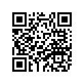 26H-12169-00-00 PAD,ADJUSTING 2.70