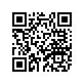26J-11901-00-00 GOVERNOR ASY