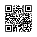 26S-24240-40-00 GRAPHIC SET