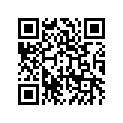 270031019 