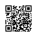 27008-063-11 Key set,#411