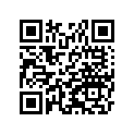 27008-063-21 Key set,#421