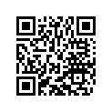 27011066144 Schlossgarnitur