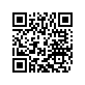 27011067000 IGNITION KEY CPL.