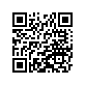 27016-5243 ロツクアツシ，ヘルメツト