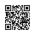 270500346 Soupape Retenue*valve-check
