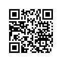 270600096 Circlip        *circlip
