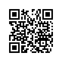 274000414 Silenc.echapp. *muffler-b.viol