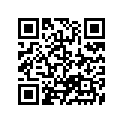 27406-31GA0 O RING