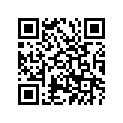275-21110-01-33 FRAME