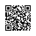 27600-17C20-106 