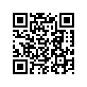 27600-17E10-112 