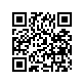 27600-40640-000 Chain