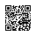 27600-41311-000 Chain